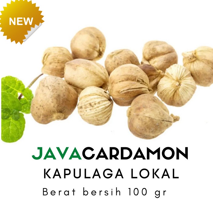 

Jual Kapulaga Jawa Lokal / Local Cardamont Rempah Asli - 100 gr Limited
