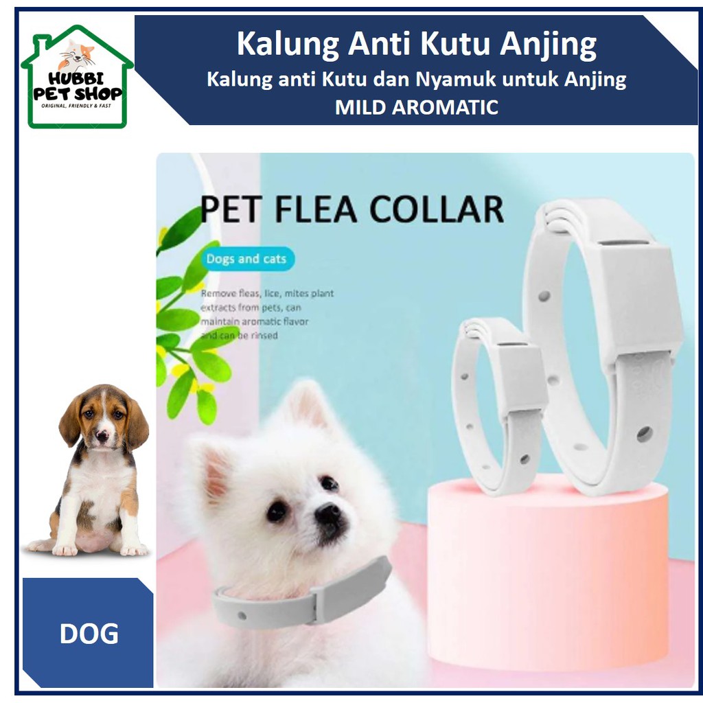 Kalung Anjing Anti Kutu Tungau  Pet Collar anti Flea and Tick Obat Kutu