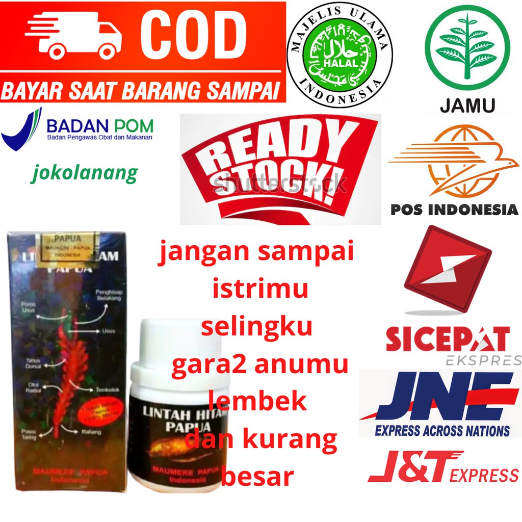 LINTAH HITAM PAPUA PEMBESAR TAHAN LAMA ASLI 100%  ORIGINAL ROTAN KERAS