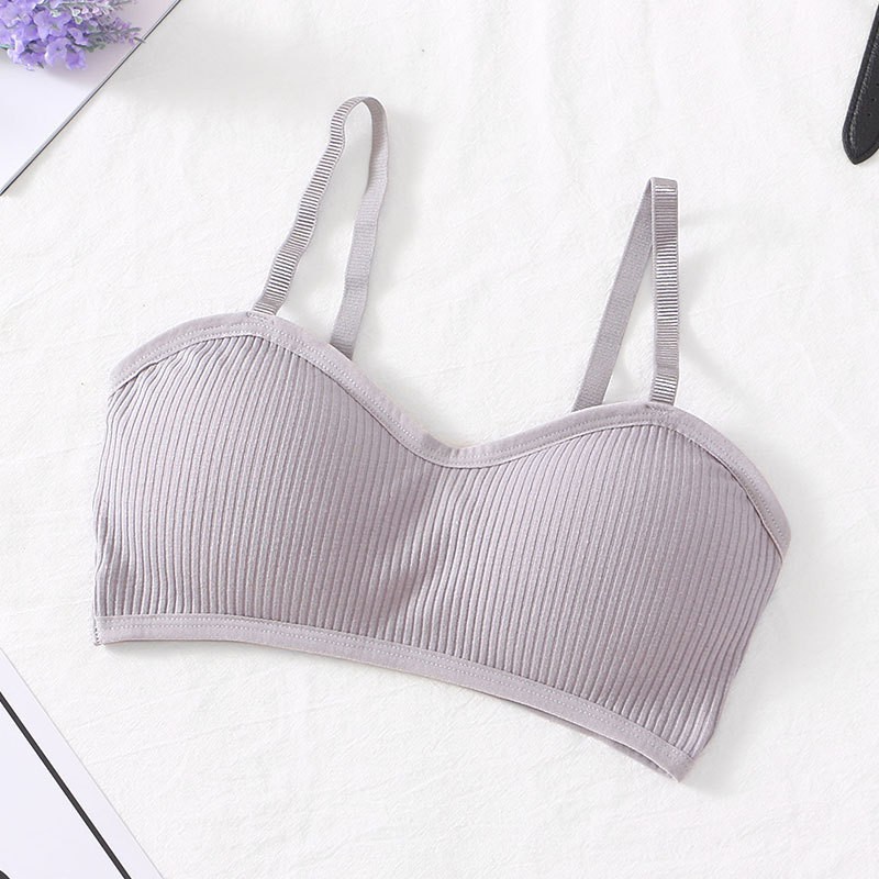 Chipchip Pakaian Dalam Wanita Bra Tanpa Kawat Bh Busa Import Seamless Gaya Korea - 3003-gray