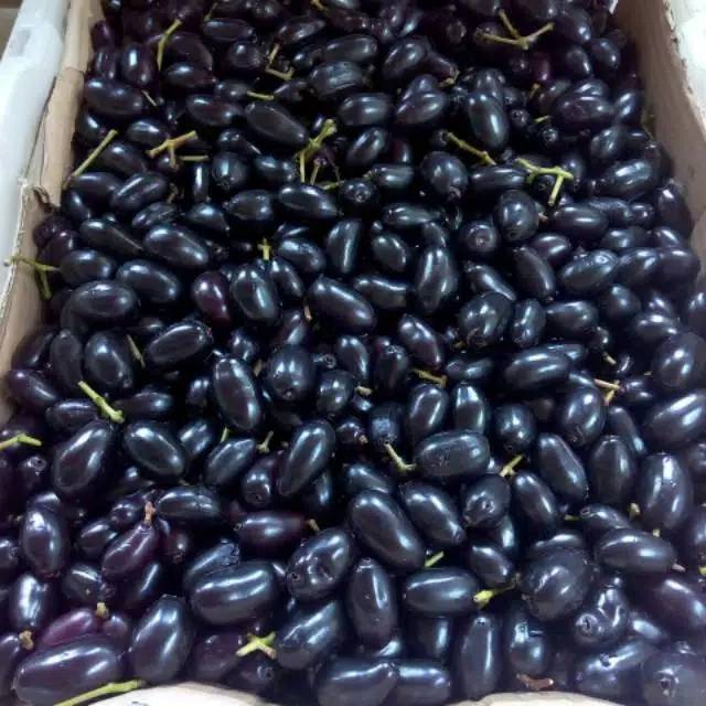 

Jamblang
