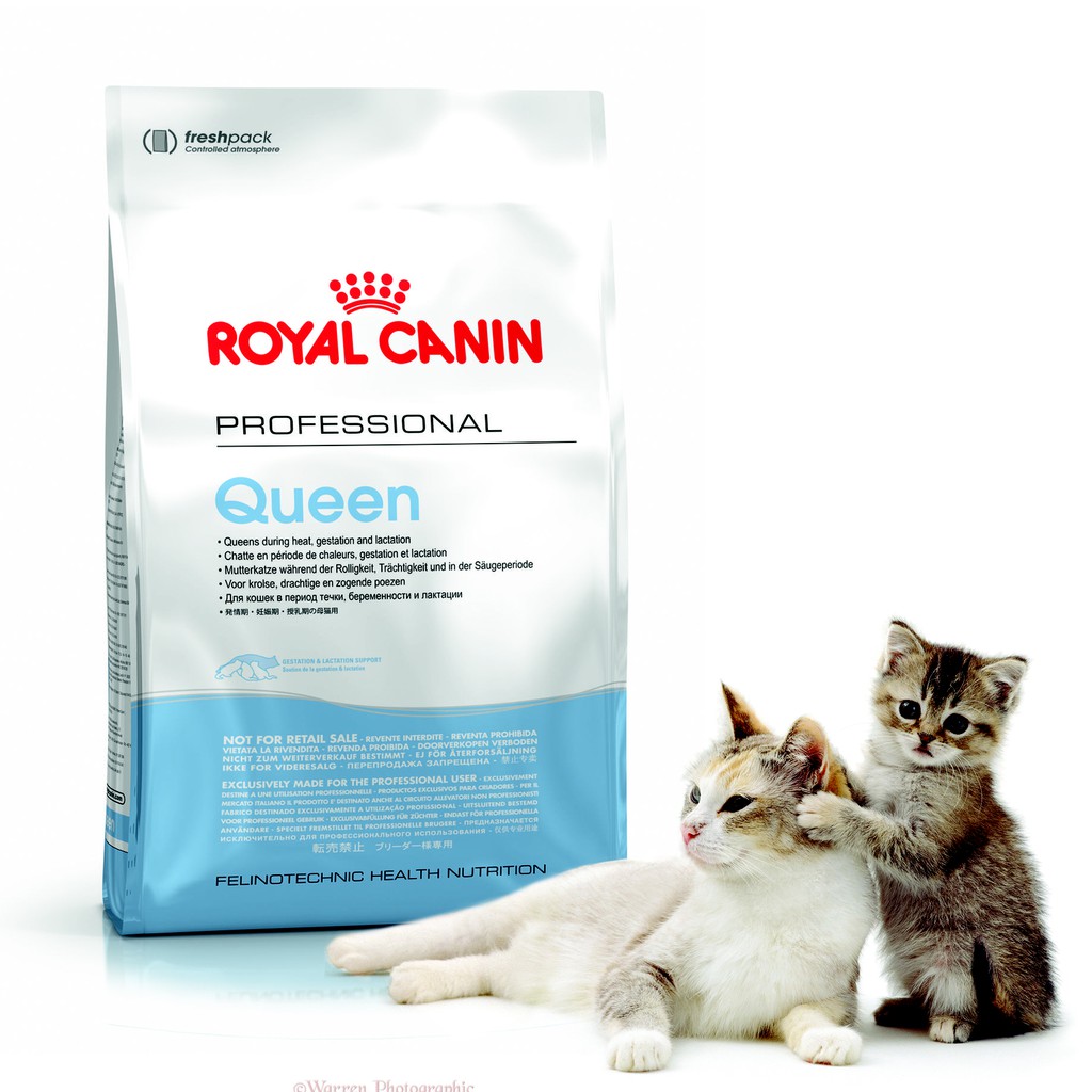 Jual Royal Canin Pro Queen 4kg | Shopee Indonesia