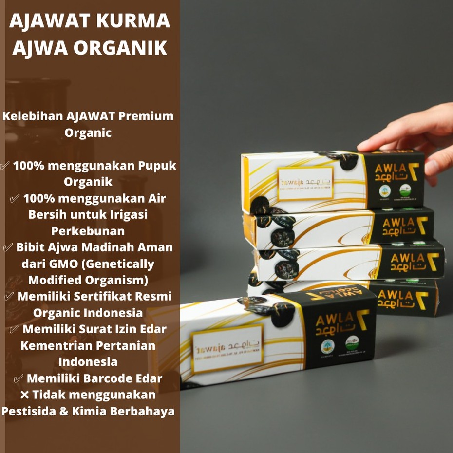 Kurma Ajwa Madinah Organic Ajawat Premium Isi 7 Butir Kurma Ajwa