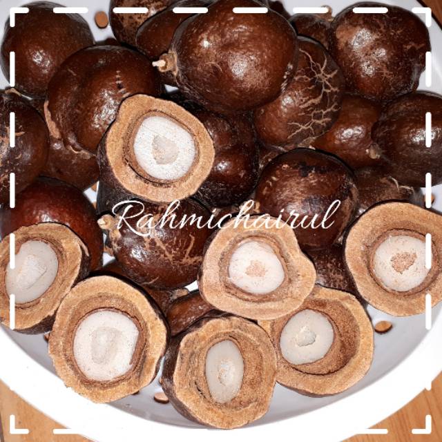 

TERLARISS !!! Buah Zuriat Single Madinah dan Mesir / Buah Zuriat Promil / Zuriat Murah