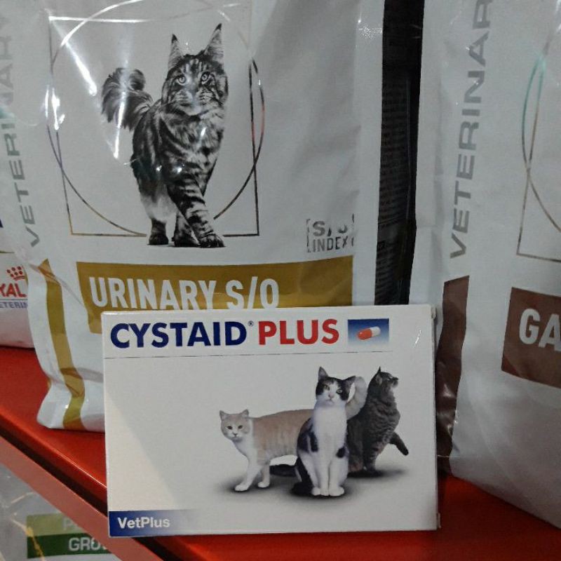 Cystaid Plus (vet plus) 1 stip isi 30 Capsules / Obat Saluran Urin Kucing Cystaid plus