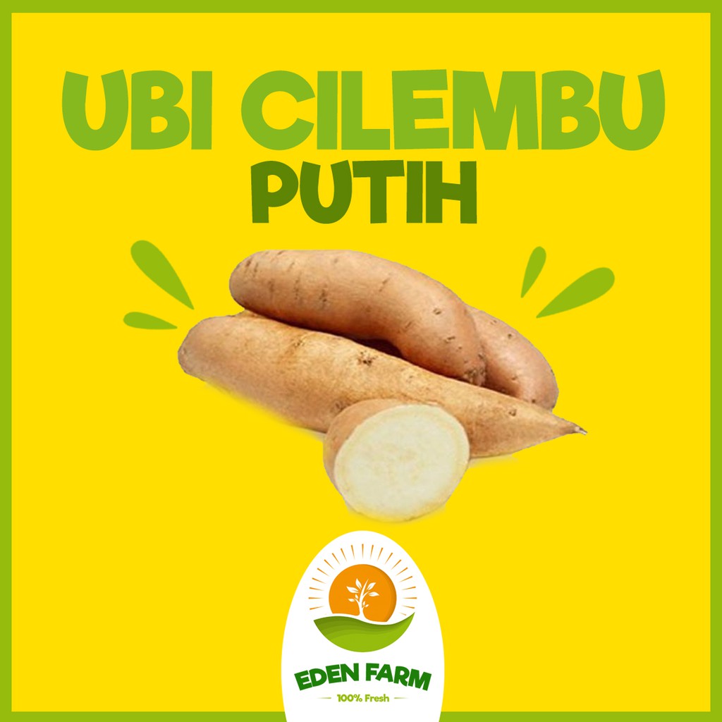 

PROMO UBI CILEMBU PUTIH - SAYUR BUAH MURAH 100% FRESH