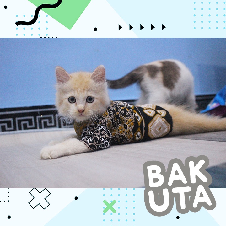 Kaos Lengan Panjang Motif Batik / Baju Kucing tangerang murah / baju kucing lucu size S-XL