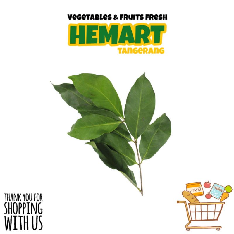 

Daun Salam Seikat / Daun Salam Segar