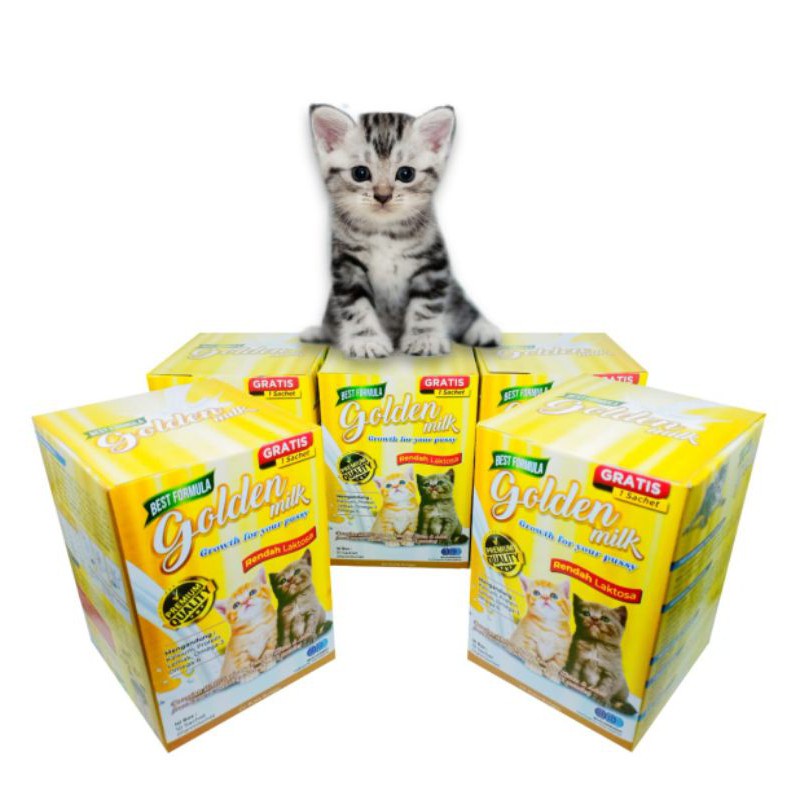 PH.Medan Golden Milk 20gr - Premium Susu Anak Kucing