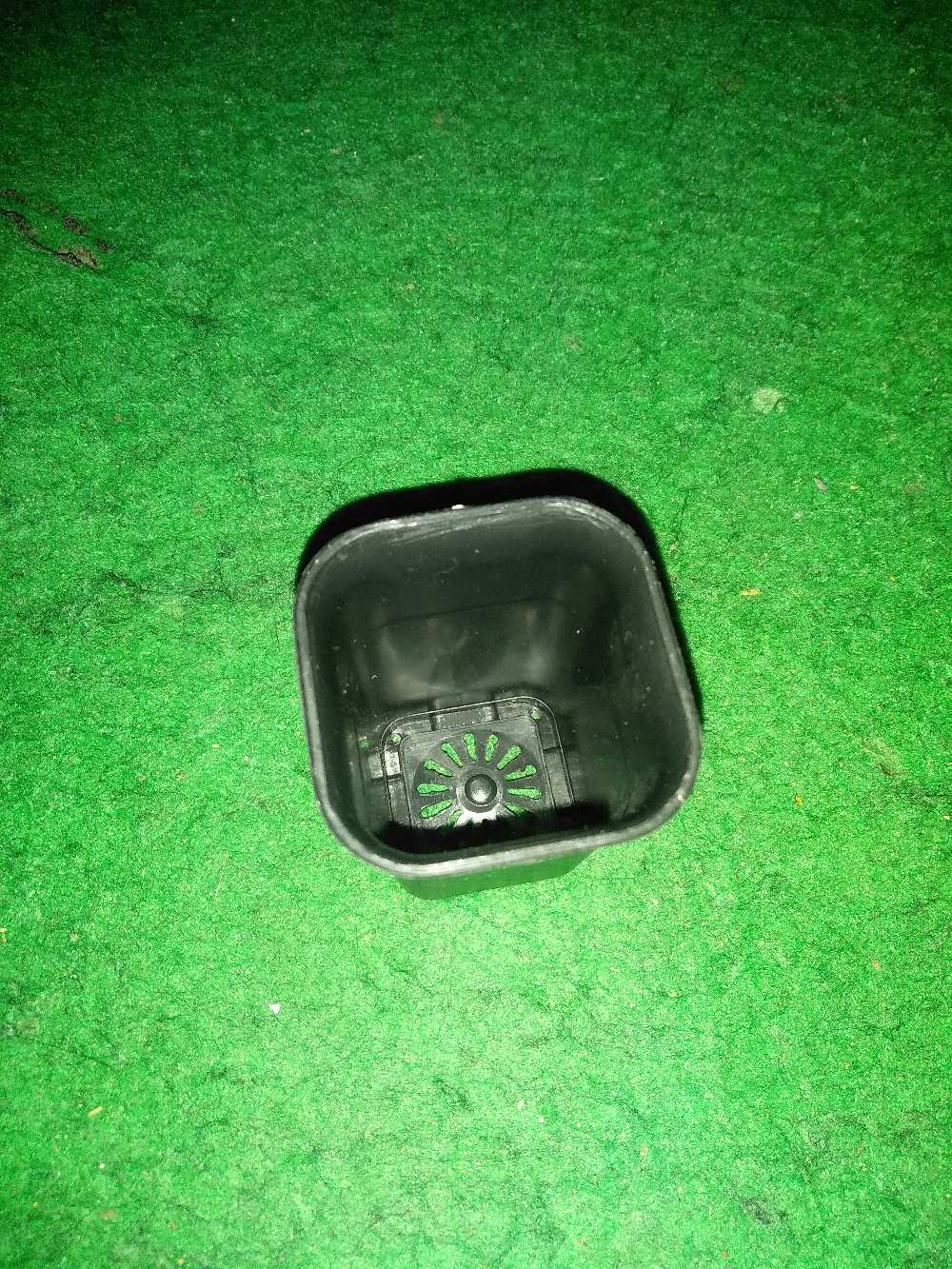 Pot Kotak Hitam 5x5x7 Cm