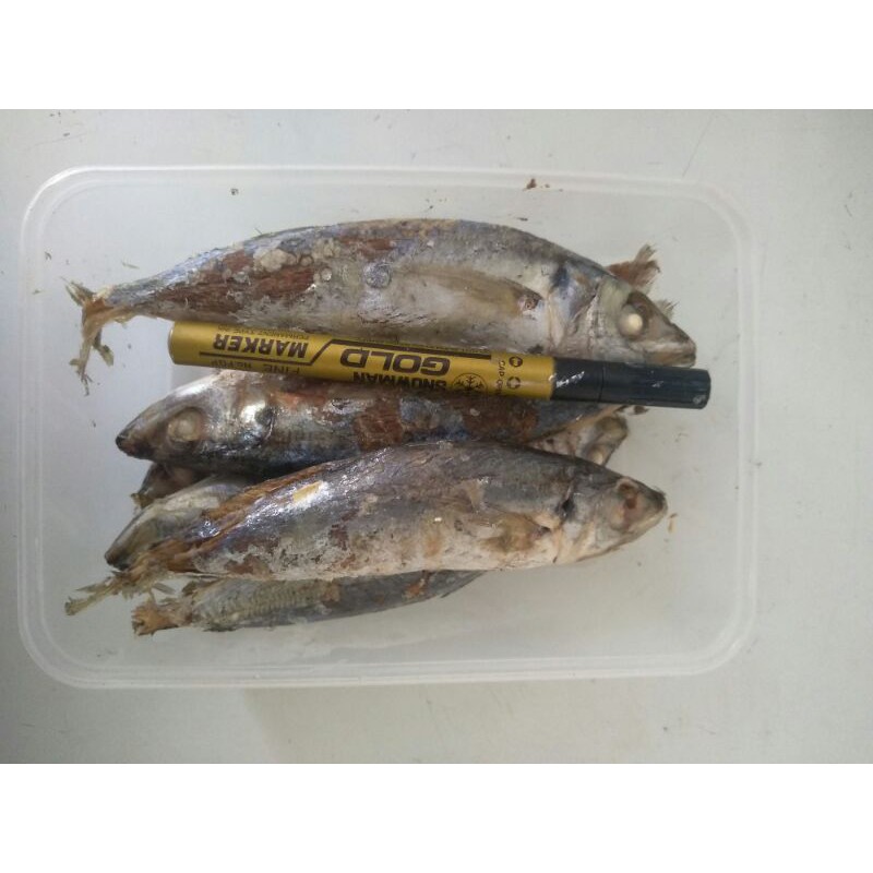 

ikan_pindang_sehat