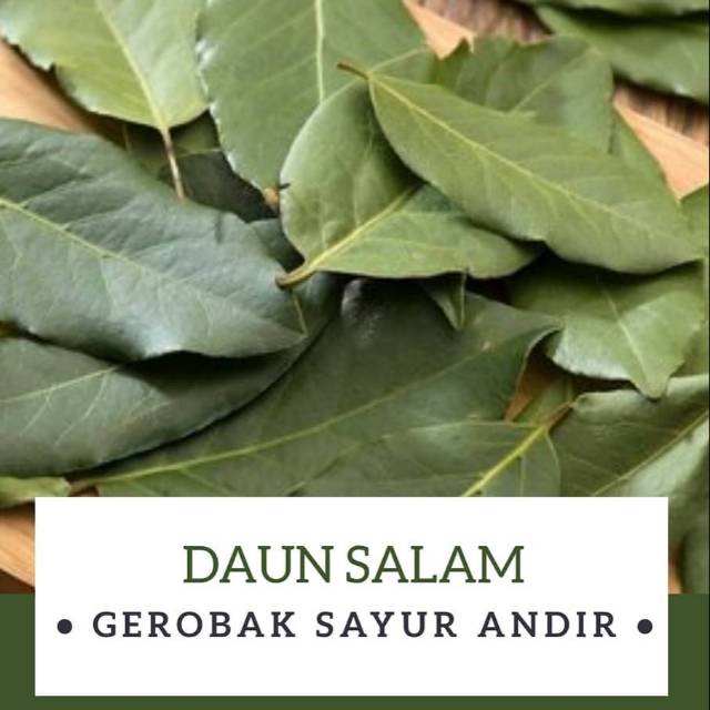 

Daun Salam /ikat