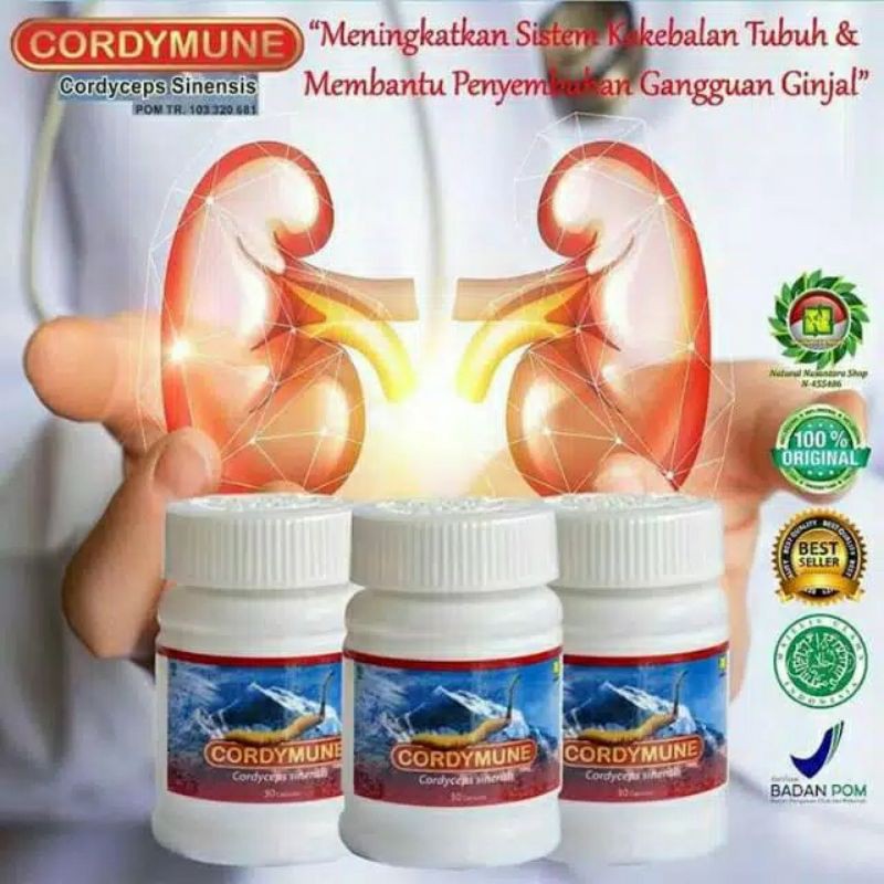 

CORDIMUNNASA
