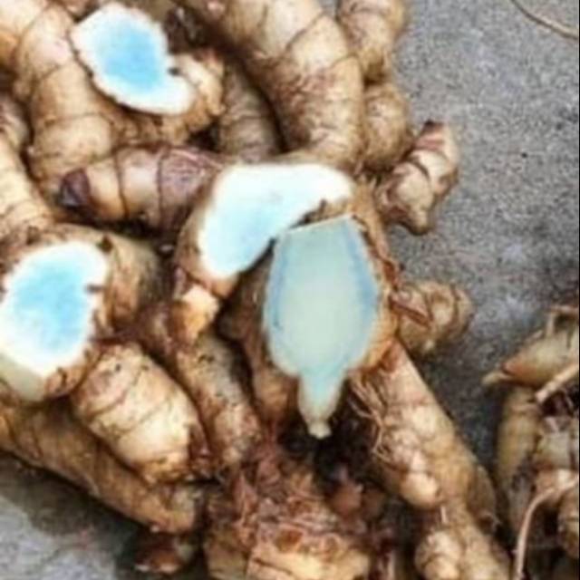 

Temu ireng segar 1kg