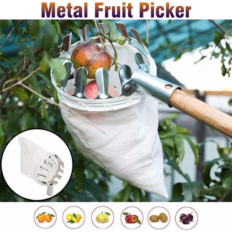 Alat Pemetik Buah Logam 16cm/14cm Peralatan Kebun Pertanian Pemetik Buah