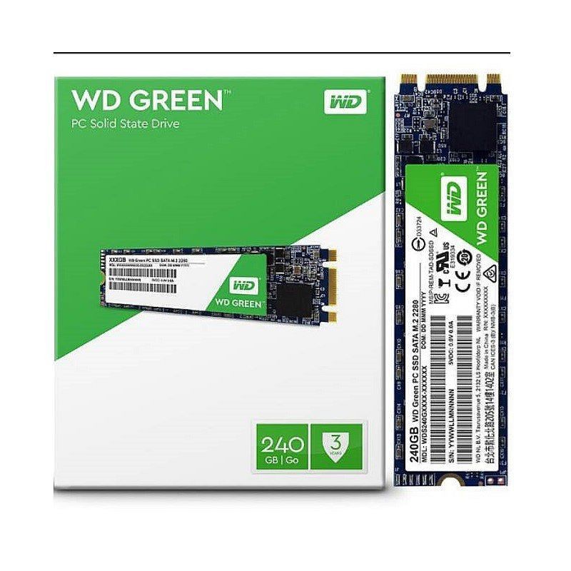 SSD WD Green 240GB M.2 2280 ORI - SSD M2