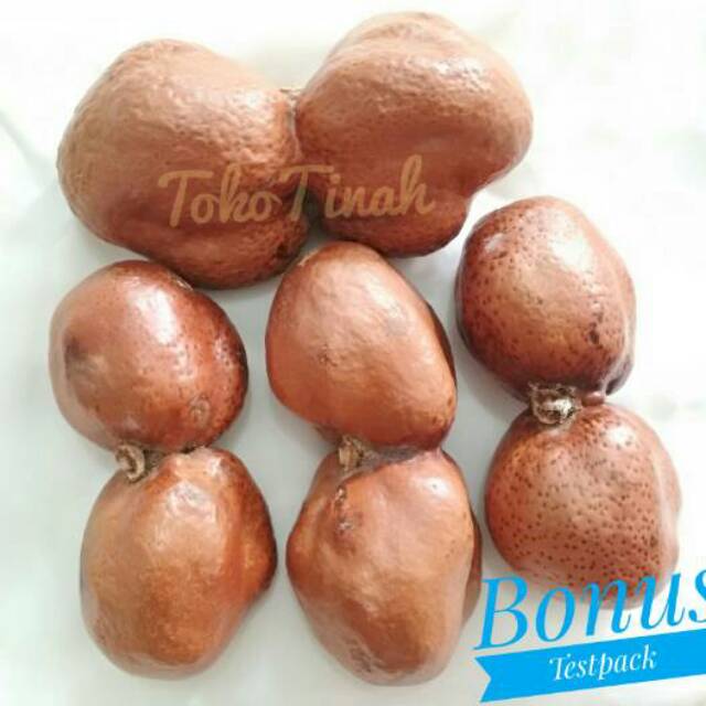 Zuriat kembar buat promil 500 gram  impor Mesir