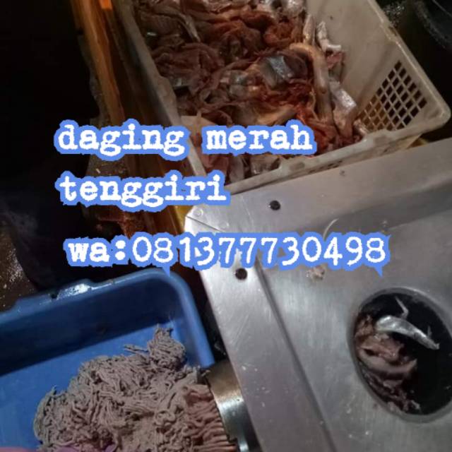 

Daging merah giling