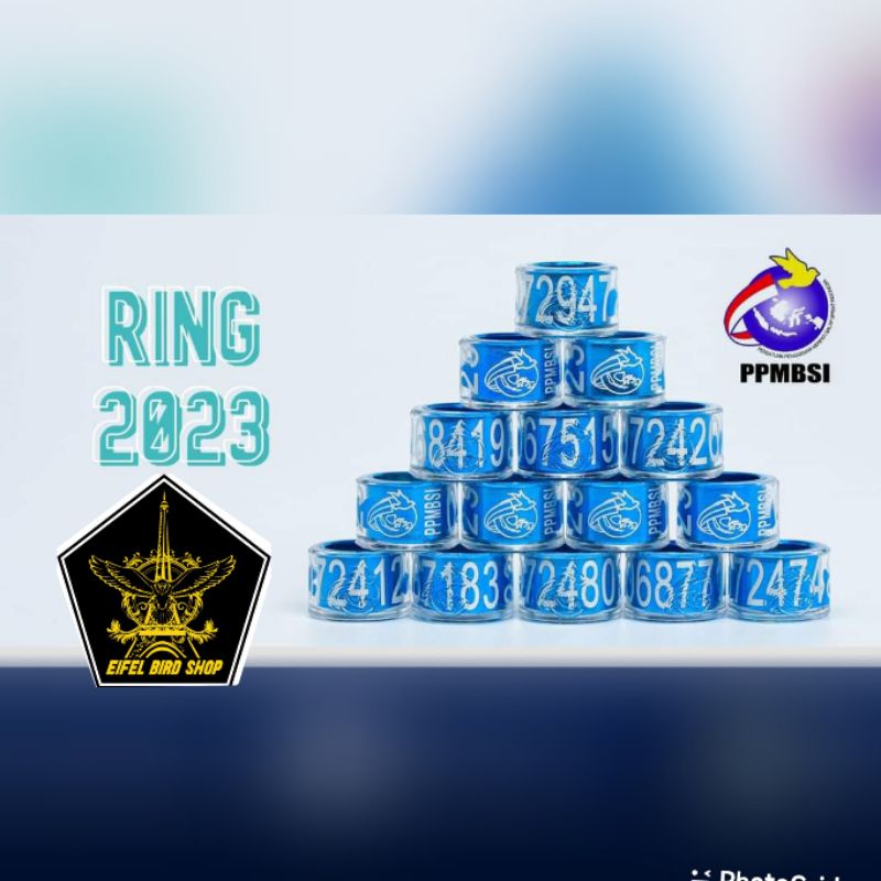 Ring merpati PPMBSI 2023 dan 2022 harga 1pcs atau 1 biji