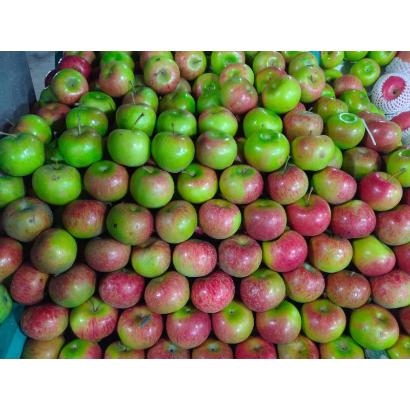 

Buah apel malang |buah segar bandung|nuri fruits|buah apel|buah bandung