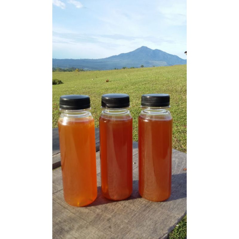 

Madu Hutan Asli 250ml || Madu Aceh