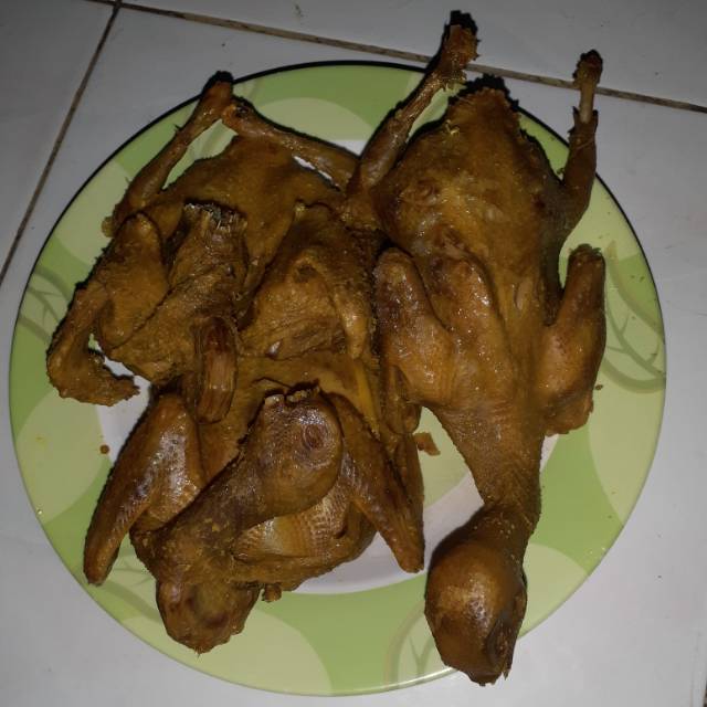 

Ungkep burung dara