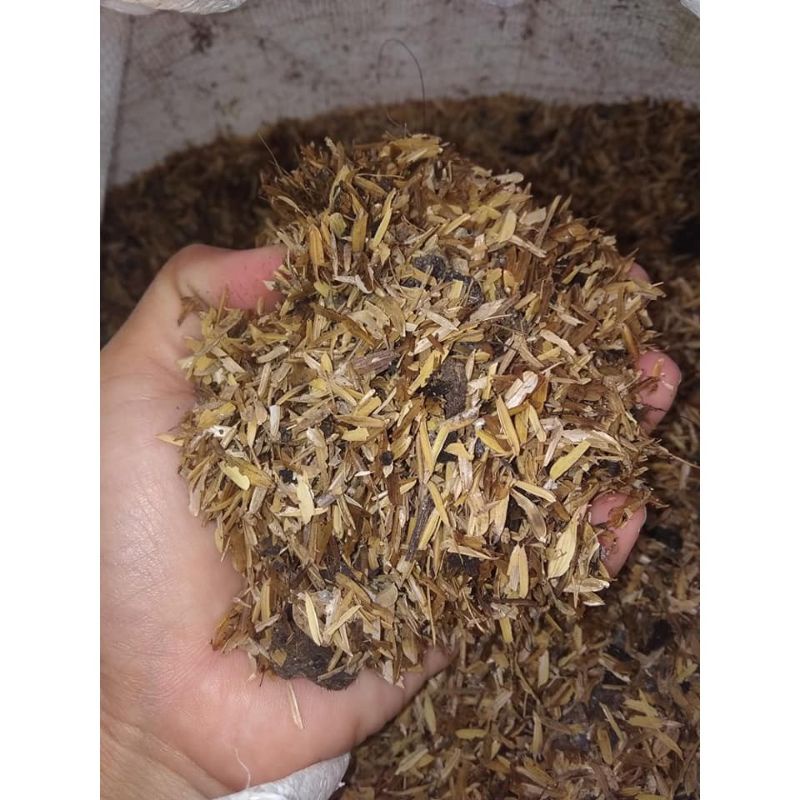 Media Tanam Sekam Mentah Fermentasi