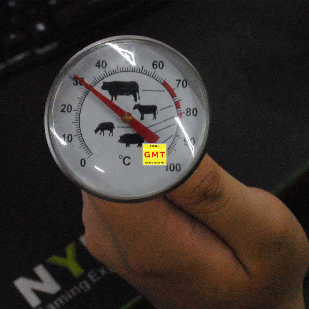 Thermometer Dapur Stainless Akurat Baca Instant Meat Gauge Read Probe-D9144