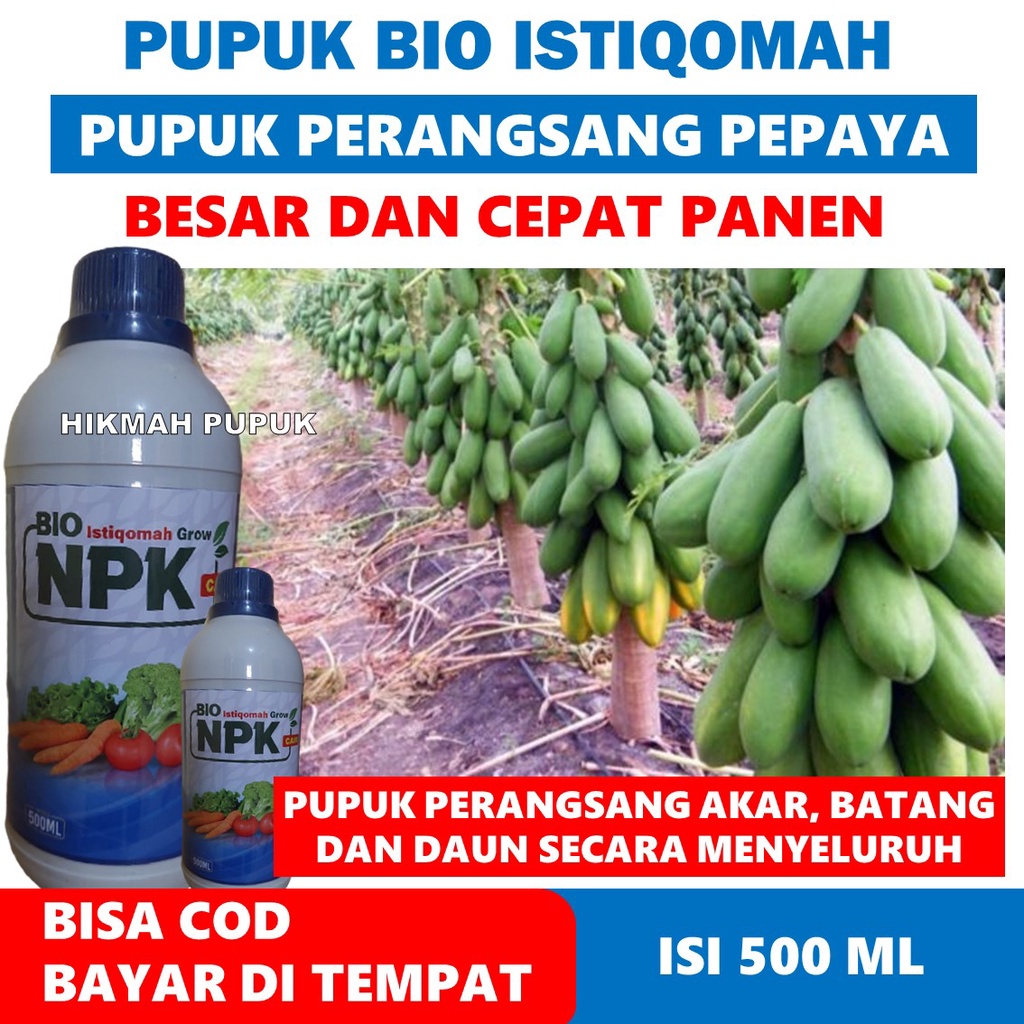 Jual Promo Pupuk Bio Istiqomah Pelebat Pepaya California Musim Hujan Paling Ampuh Obat Cair