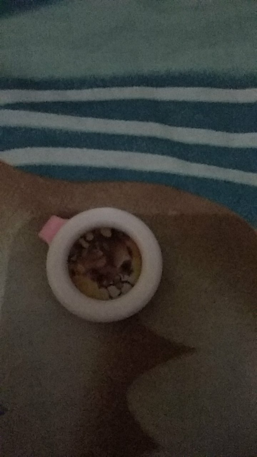 Pin Anti Nyamuk Mosquito / Pengusir Nyamuk / Penangkal Nyamuk /mosquito Repllent