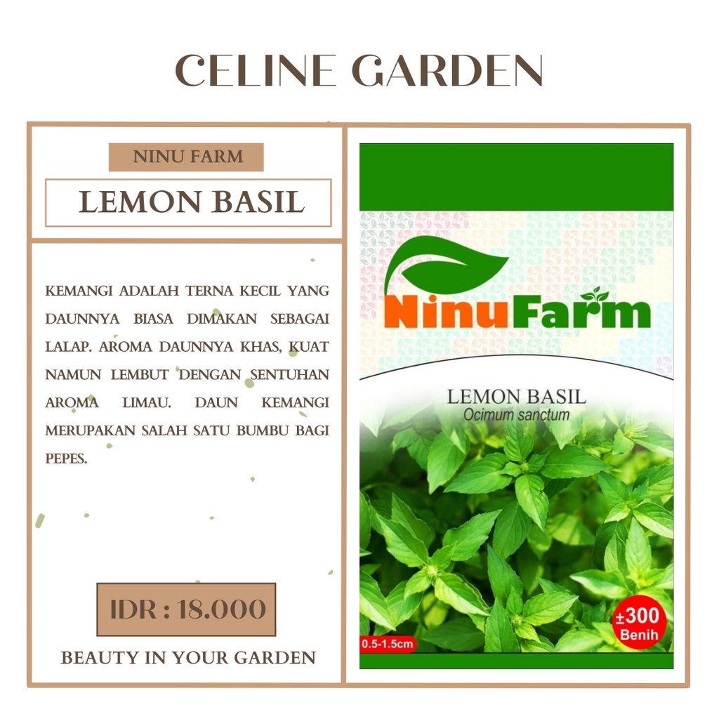 BIBIT KEMANGI / LEMON BASIL / NINUFARM / KEMASAN ASLI PABRIK