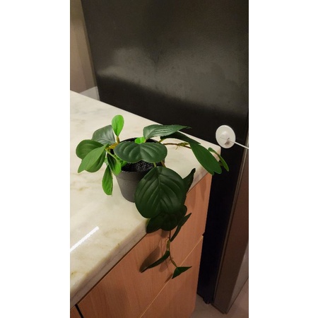 IKEA FEJKA artificial potted plant Peperomia
