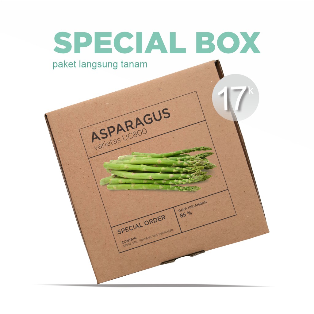 Paket Langsung Tanam - Gardening Kit - SPECIAL BOX - Benih Asparagus F1 Varietas UC800 Seeds