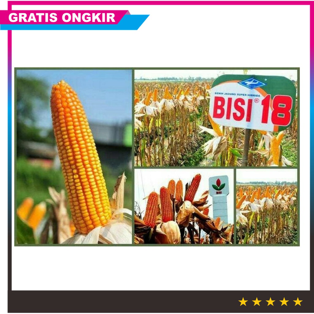 Benih Jagung  Hibrida Bisi  18  BENIH TOKO