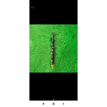 

MURAH/PRODUK MEDINA/PENSIL PICKER/PENSIL