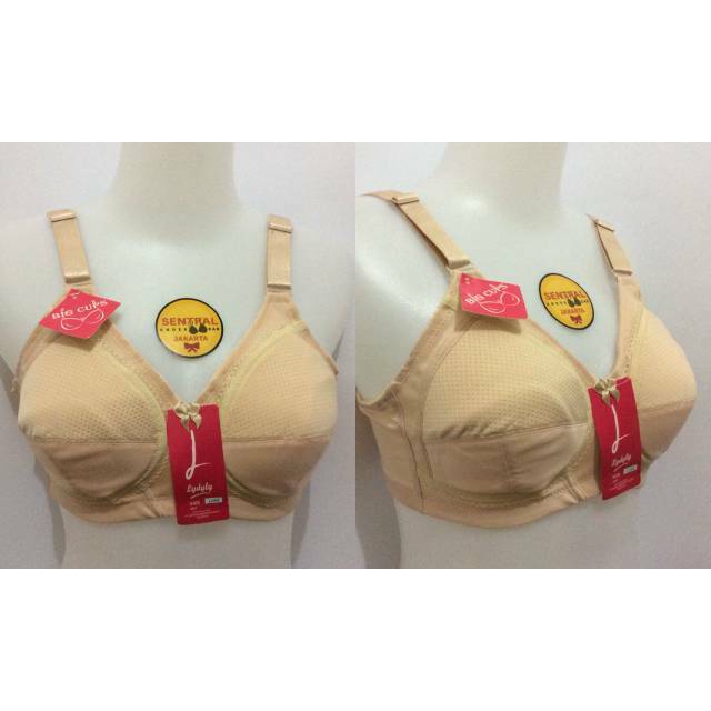 BH Lydyly L043 Big Cup