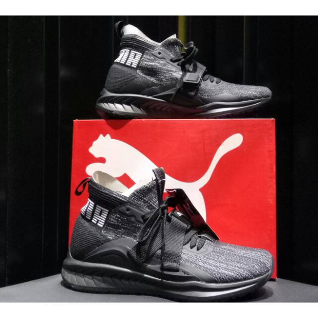 Puma IGNITE EvoKnit2