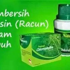 

NATURAL CHLOROPHYLLIN ORIGINAL NASA / NCLO NASA / KLOROPIL / CLOROFIL / MINUMAN DETOX