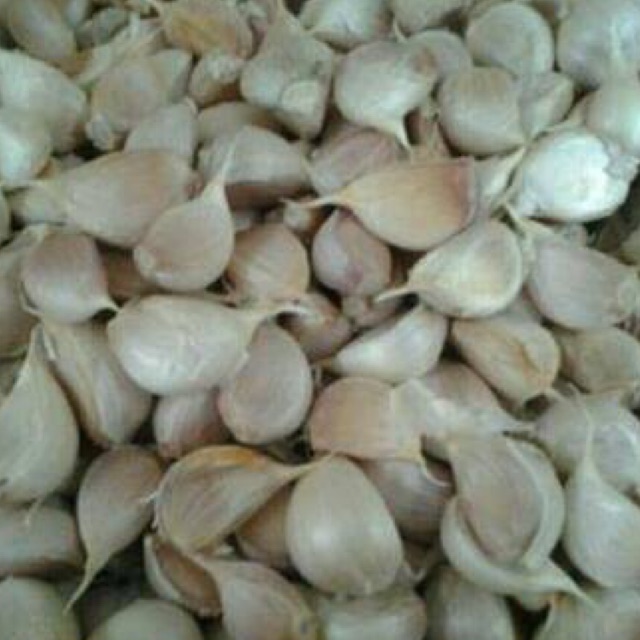 

BAWANG PUTIH KATING 250gr