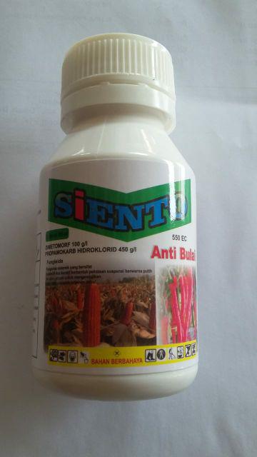 Fungisida Anti Bulai Jagung Dan Cabe