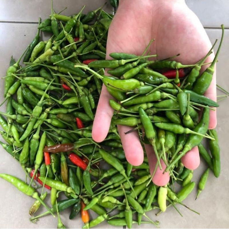 

CABE RAWIT HIJAU UNGGUL 250 GRAM