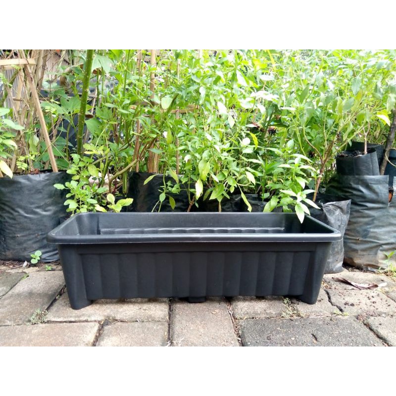 pot tanaman 50cm pot persegi panjang 50cm