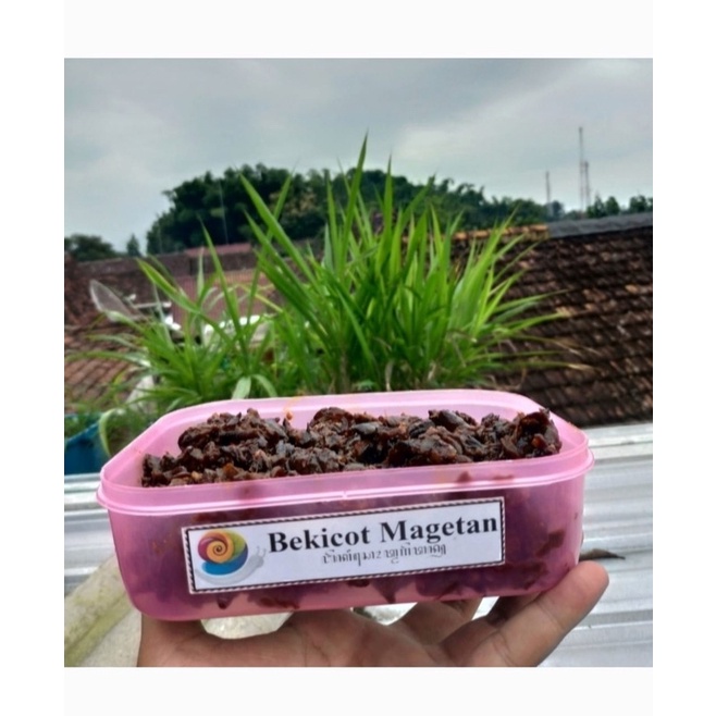 

Rica Goreng Bekicot Best Seller 400 Gram