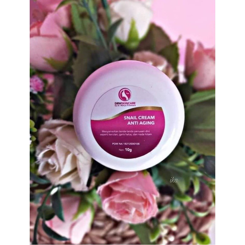 Snail Cream Anti Aging / Snail Cream With Honey Drwskincare