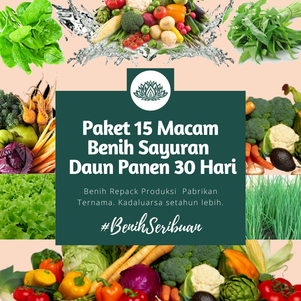 Paket Bibit Sayuran 15 Macam Benih Sayuran Pemula Sayur Daun 30 Hari Panen Murah Kangkung Bayam Sawi Daun Bawang Kol dll