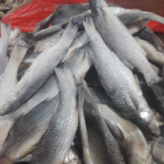 

Ikan asin padet 200 gram