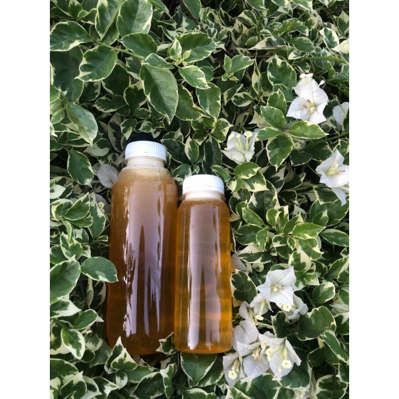 

MADU MURNI MADU SARANG MULTIFLORA UNTUK KESEHATAN-STAMINA-IMUNITAS