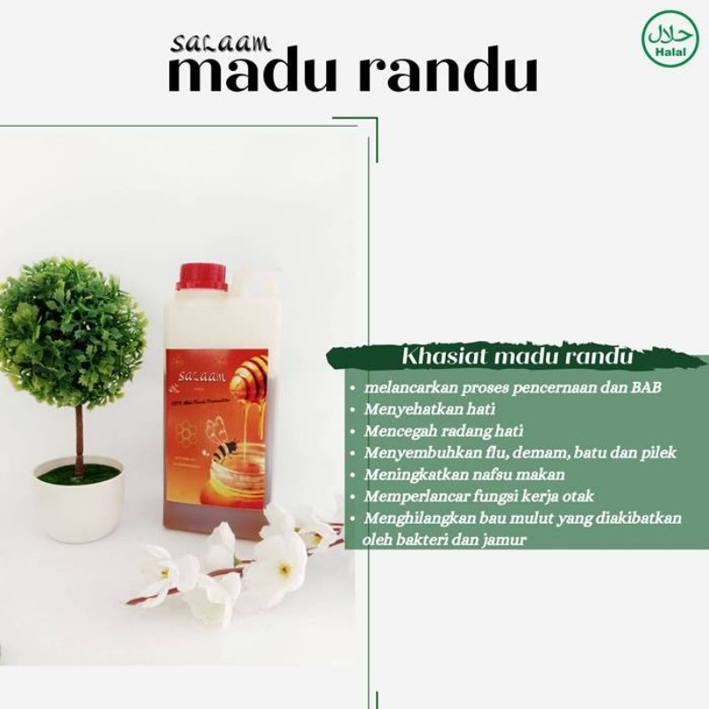 

DSM Healthy - Salaam Madu Randu