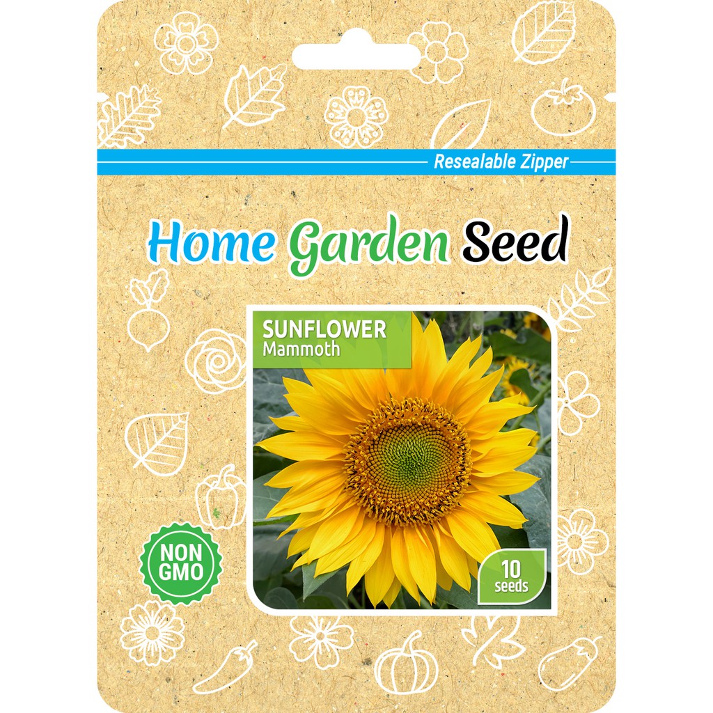 Benih Bunga Matahari / Sunflower - Mammoth - Home Garden Seed