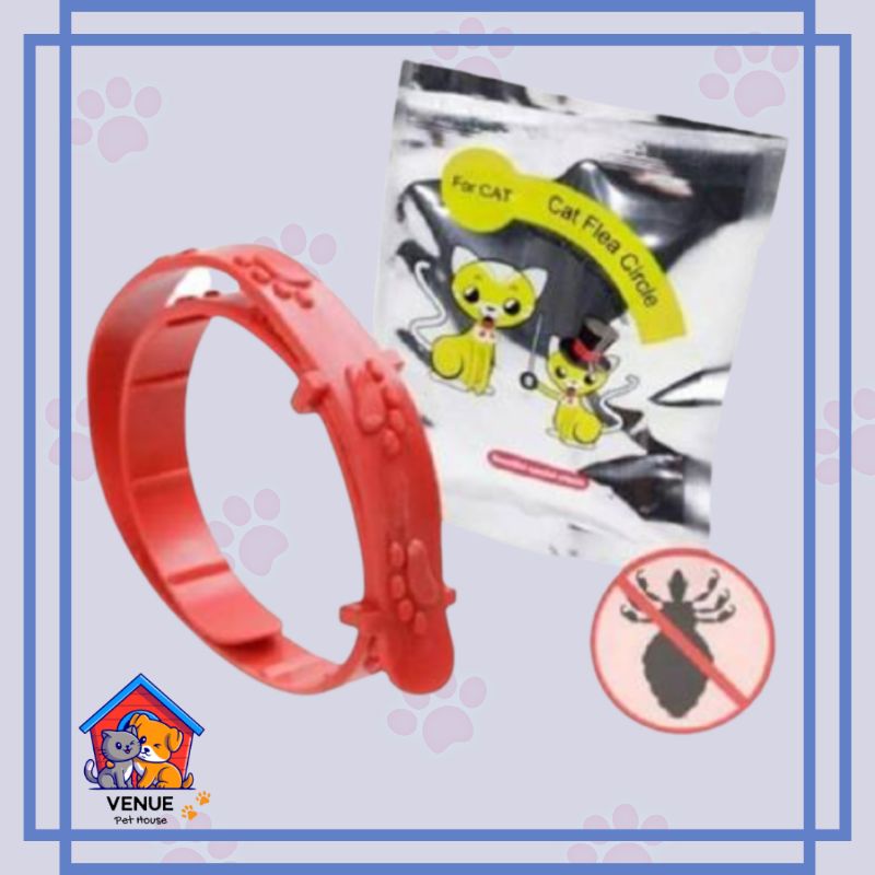 Kalung Anti Kutu Kucing - Kalung Obat Anti Kutu Kucing Kelinci